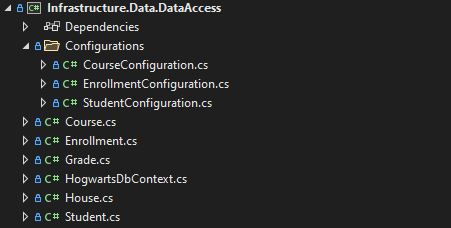 Data Access Project Setup